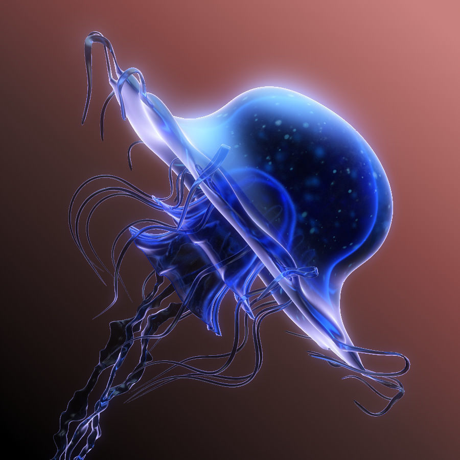 Jellyfish rigged animated 3D model_9
