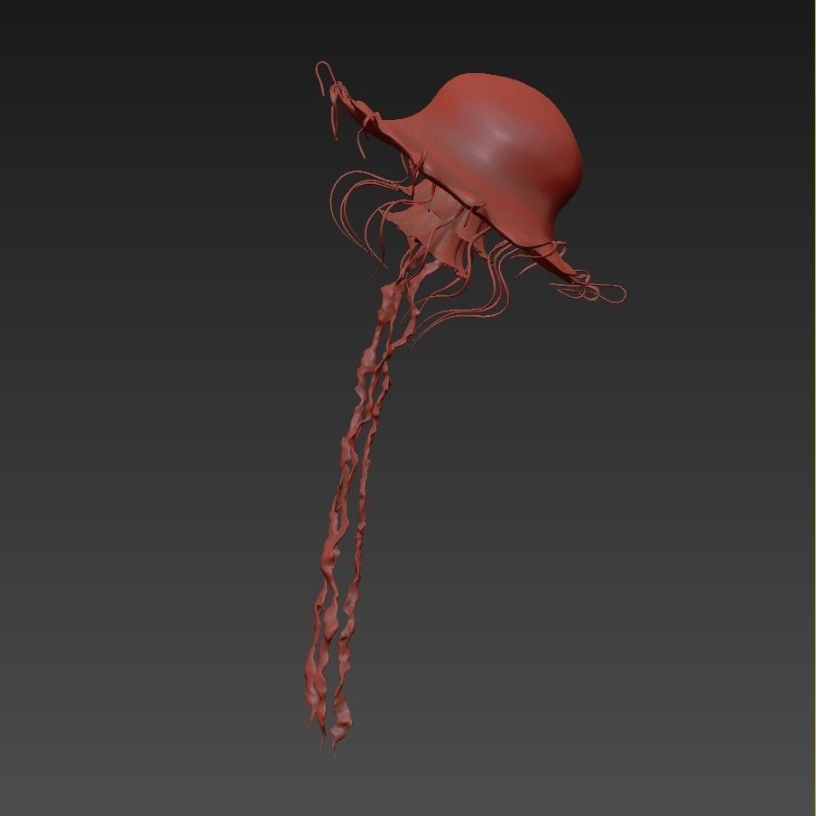 Jellyfish rigged animated 3D model_20