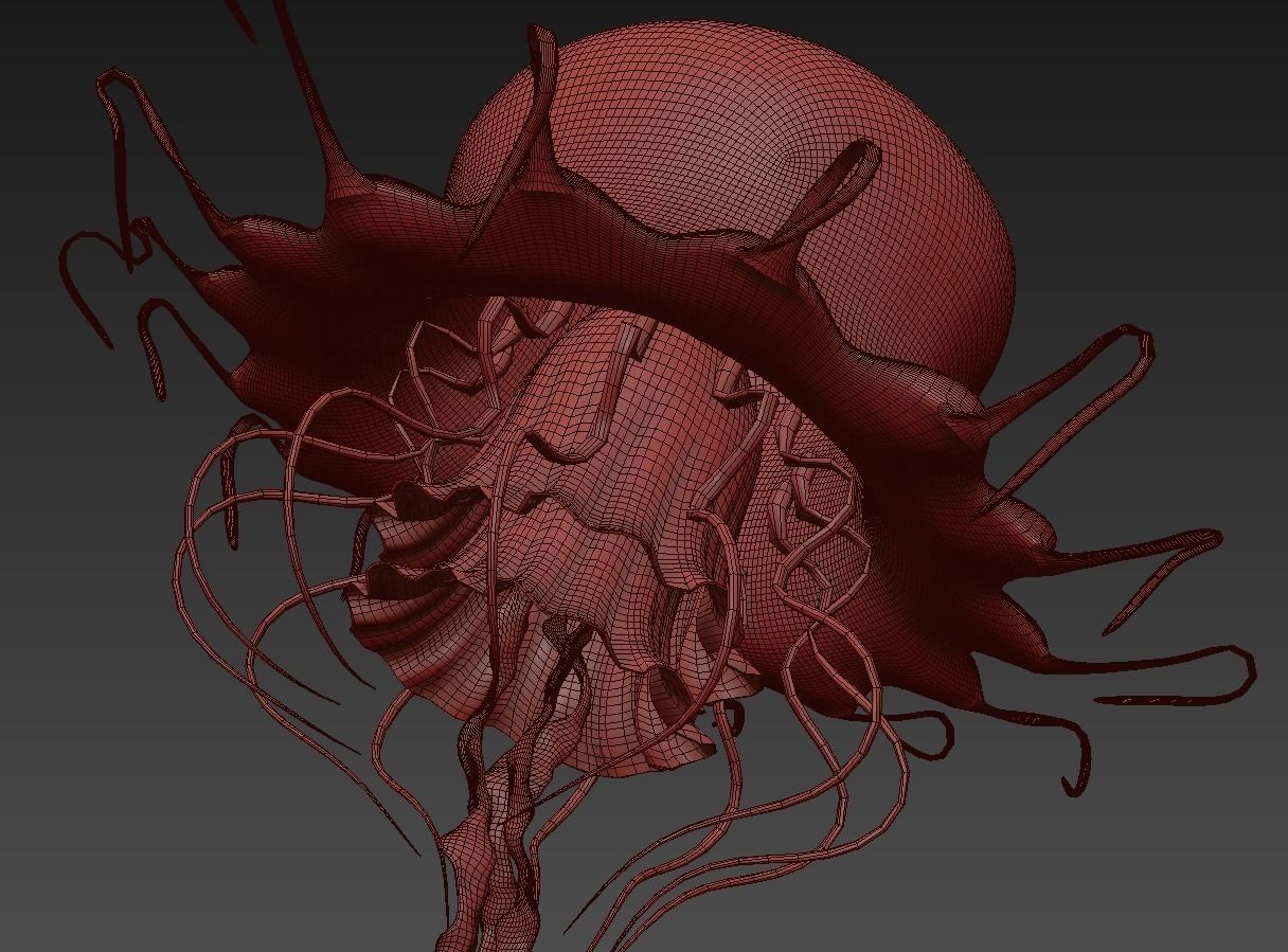 Jellyfish rigged animated 3D model_13