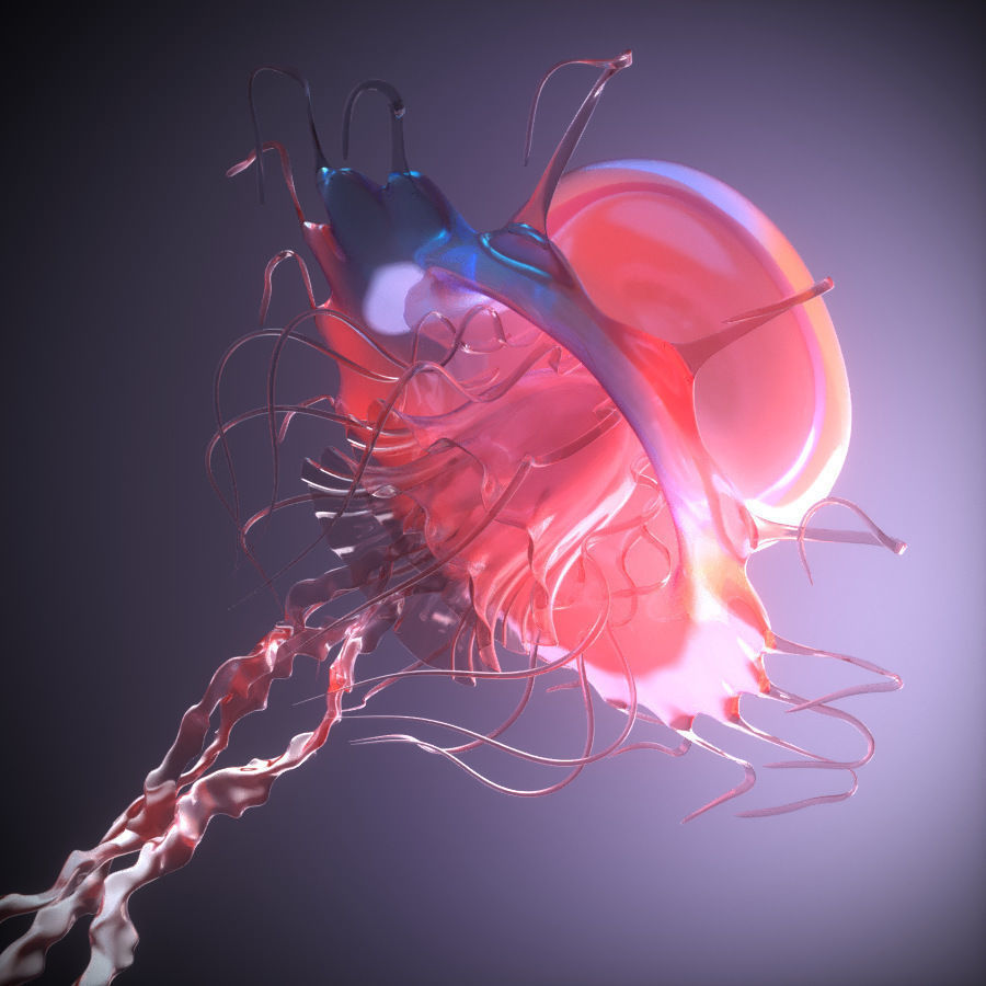 Jellyfish rigged animated 3D model_5