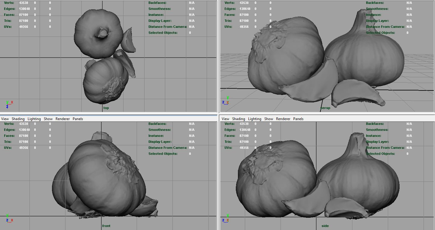 Garlic and garlic clove 3D model_5