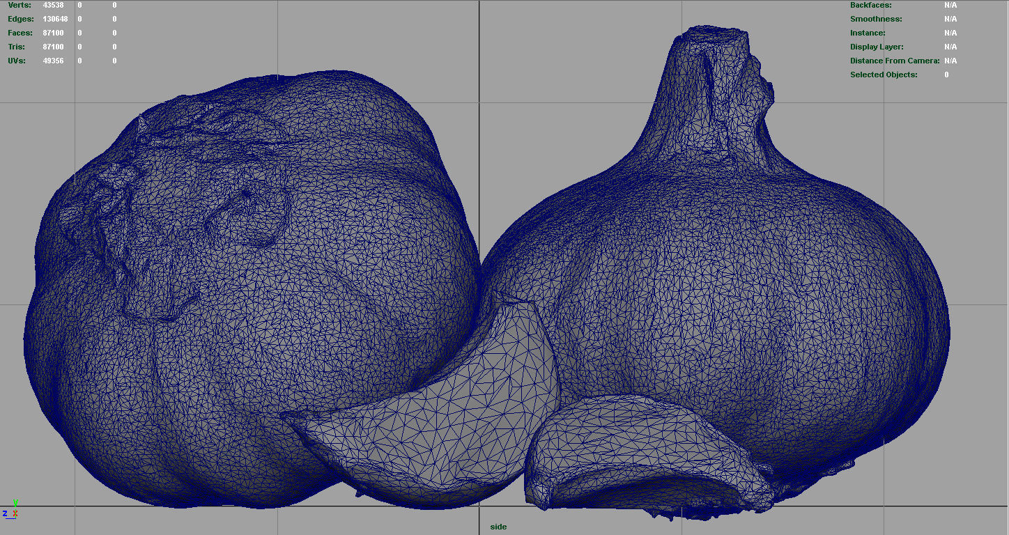 Garlic and garlic clove 3D model_11