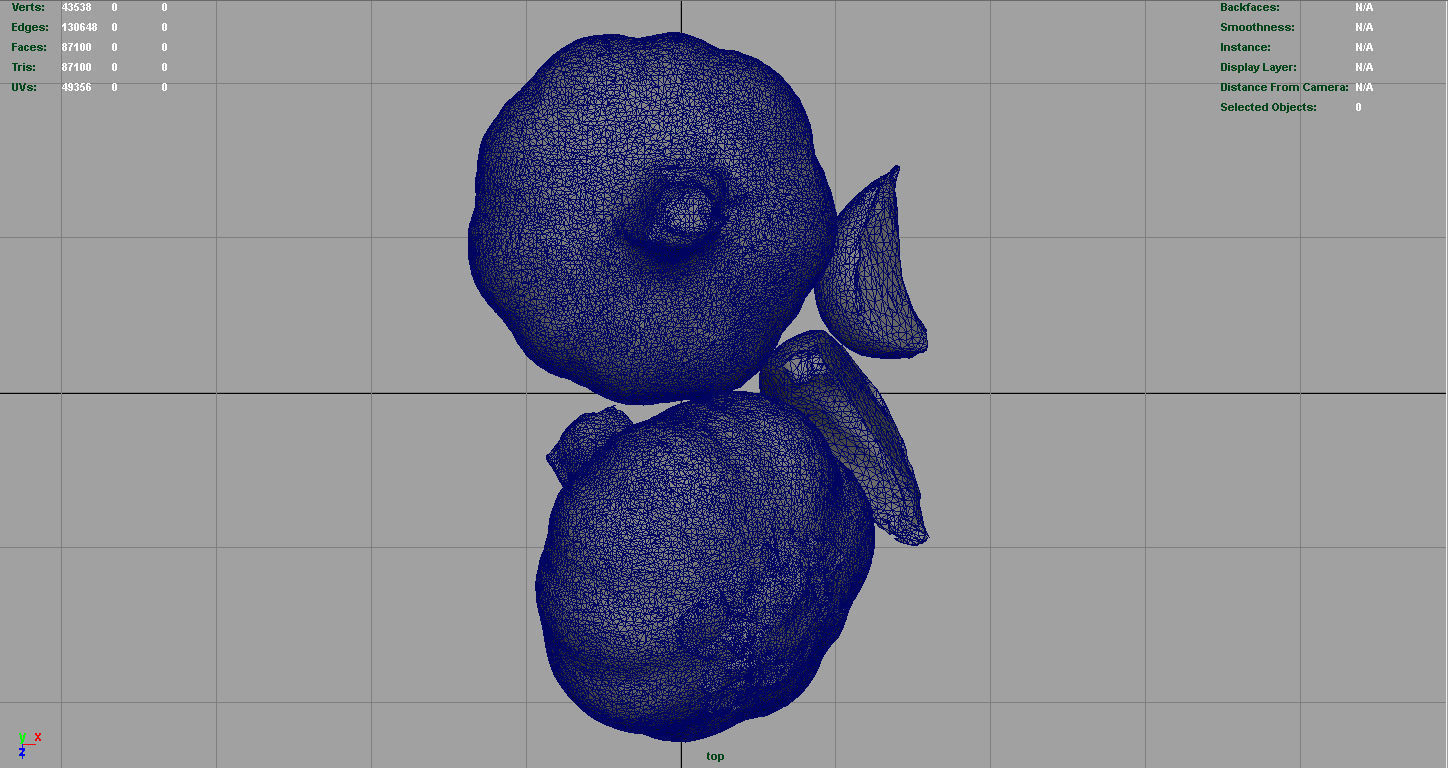 Garlic and garlic clove 3D model_7