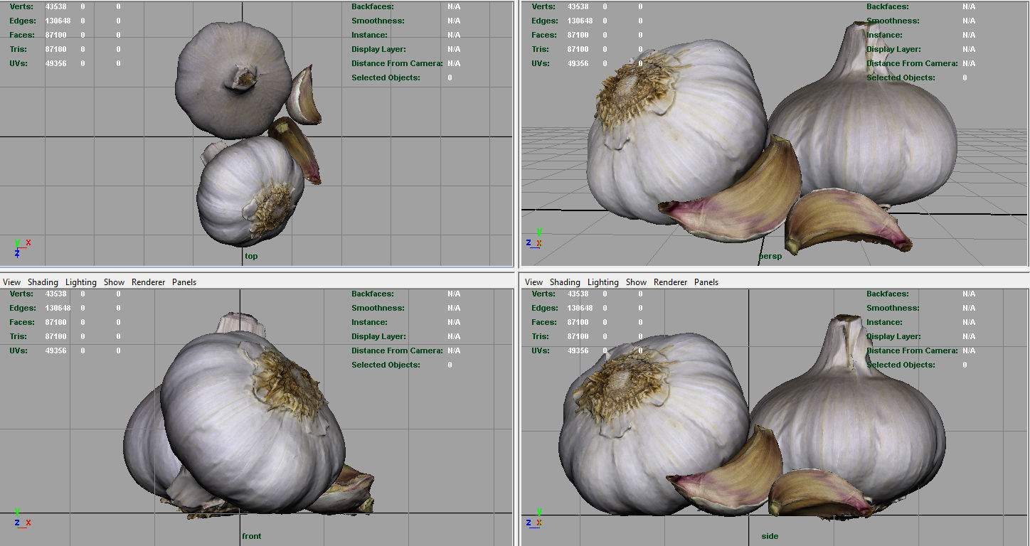 Garlic and garlic clove 3D model_6