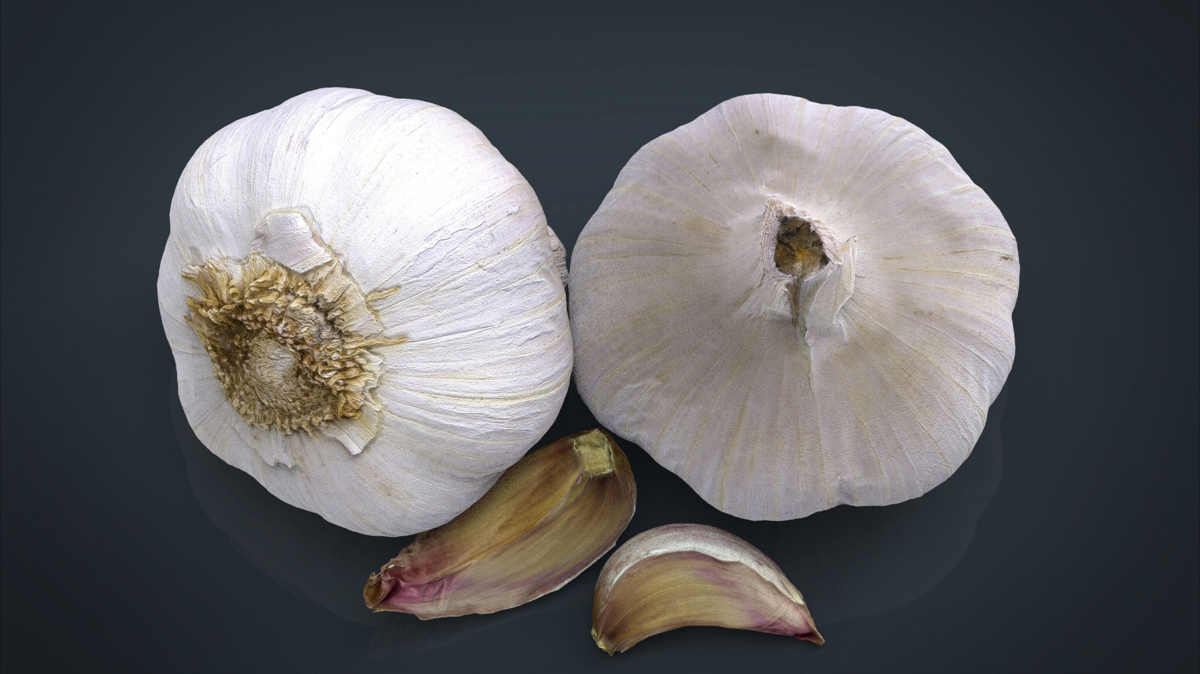 Garlic and garlic clove 3D model_8