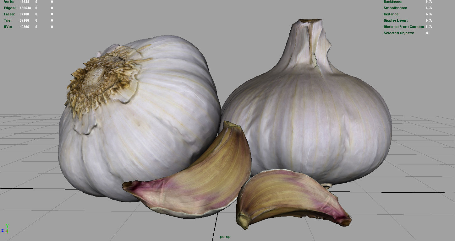 Garlic and garlic clove 3D model_3