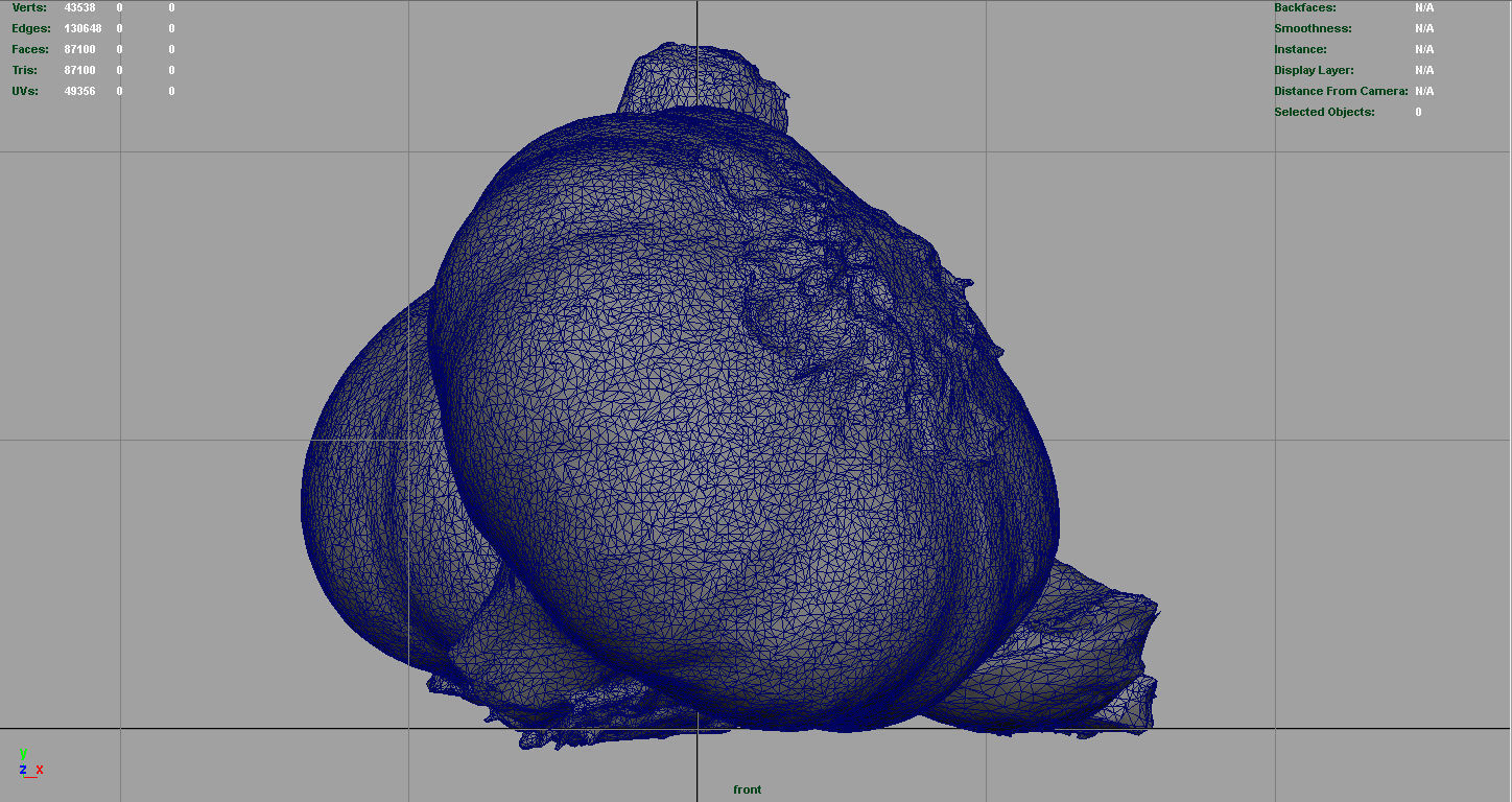 Garlic and garlic clove 3D model_9