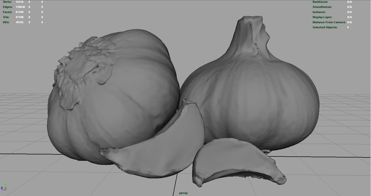 Garlic and garlic clove 3D model_2