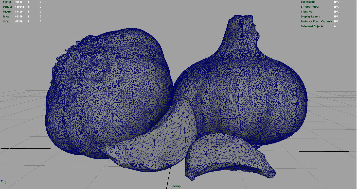 Garlic and garlic clove 3D model_4
