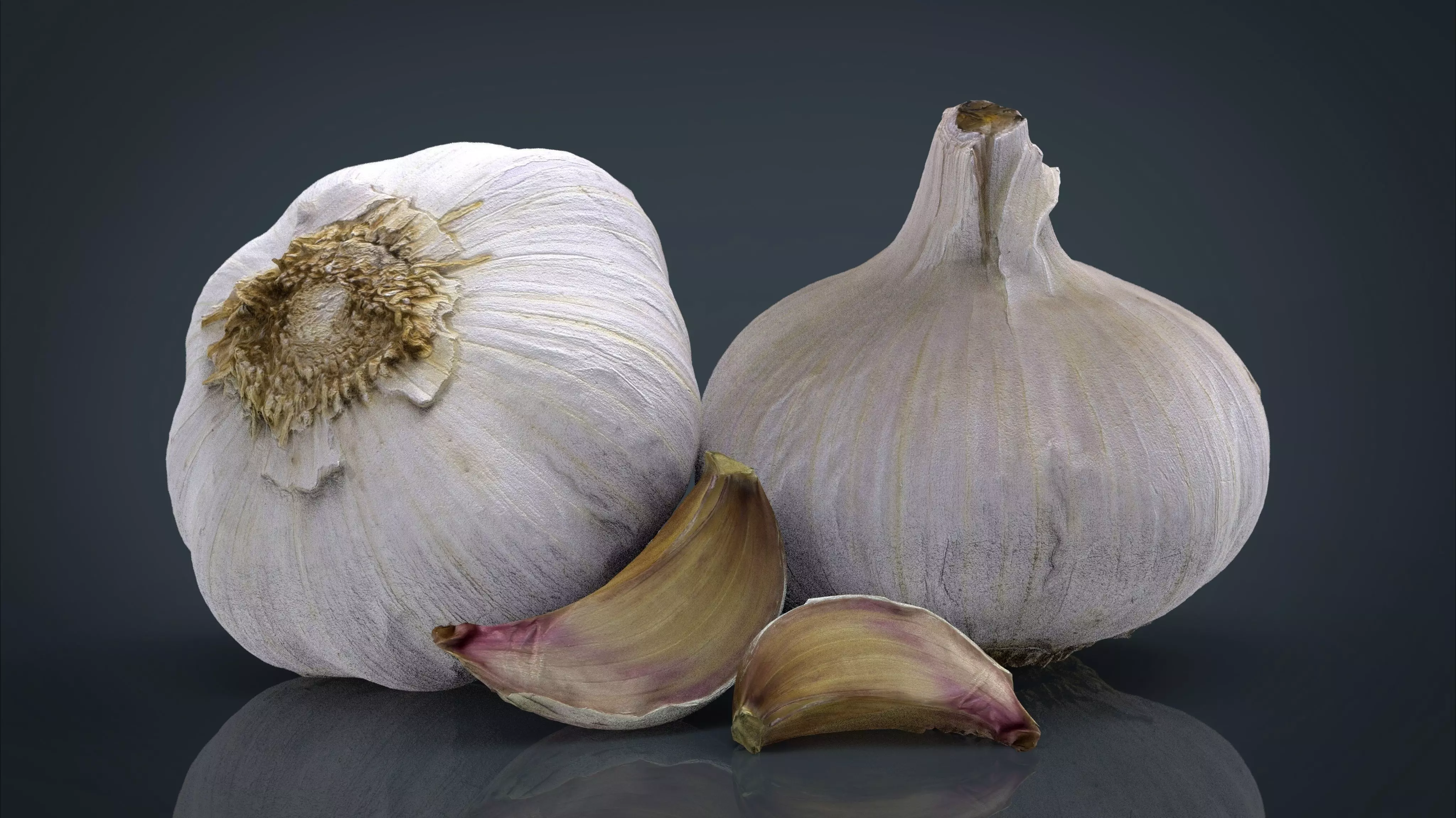 Garlic and garlic clove 3D model_0