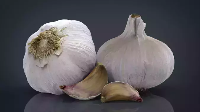 Garlic and garlic clove 3D model