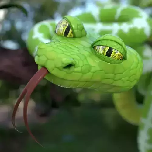 Cartoon snake 3D model