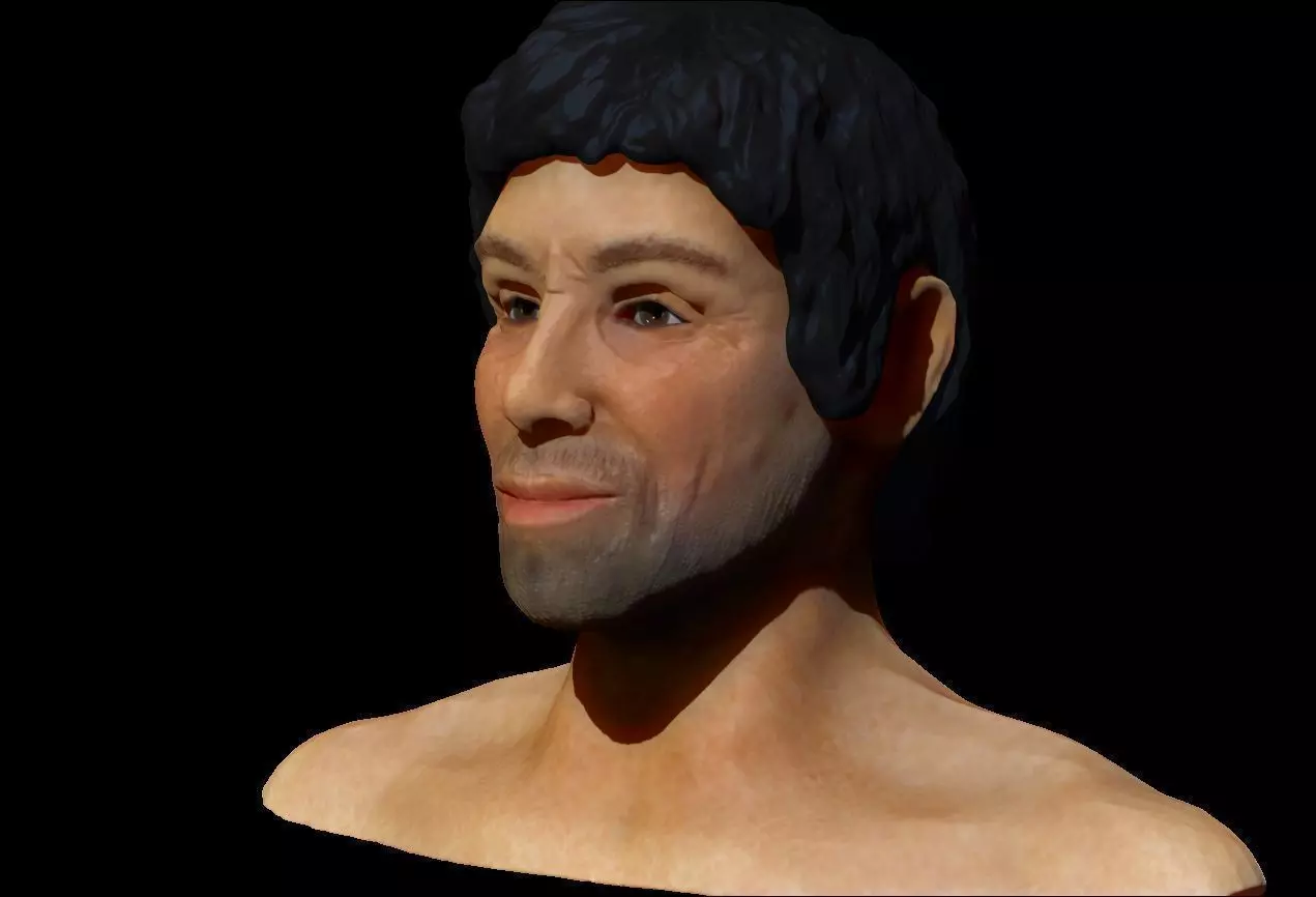 Shifu bust of person Free low-poly 3D model