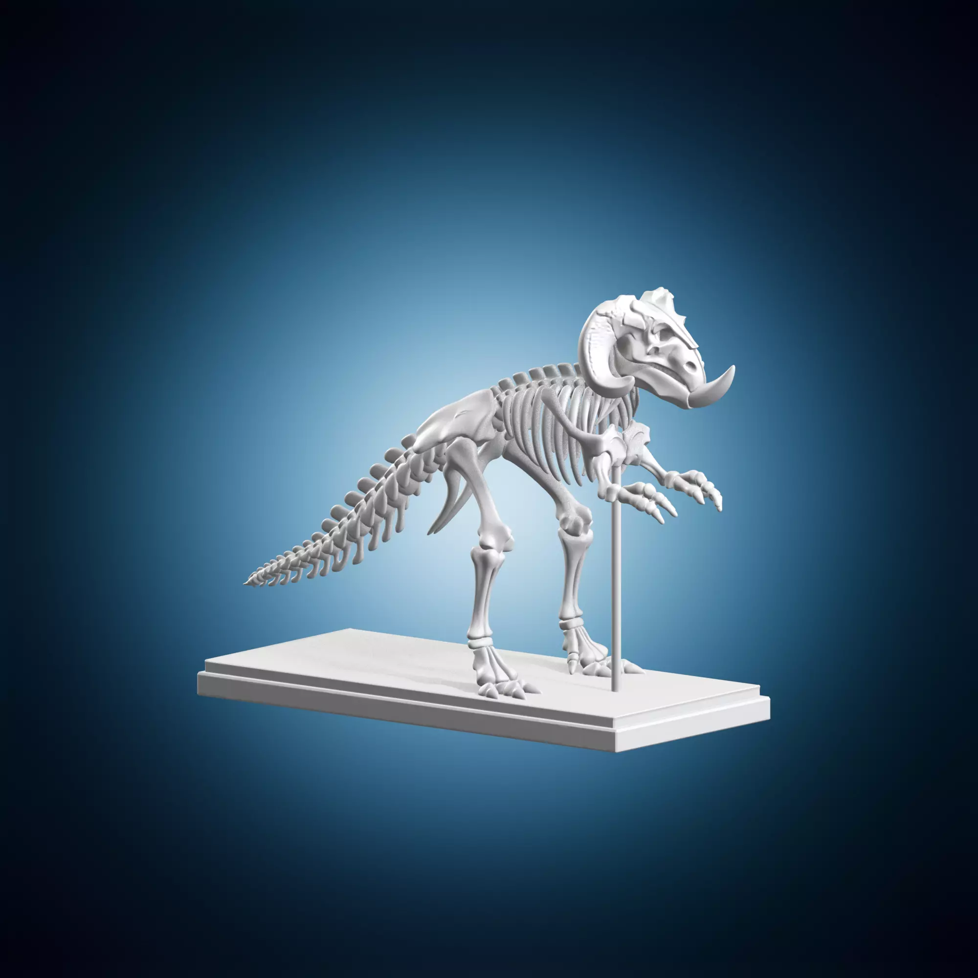 Dinosaur Skeleton Fossil Museum Display Model 3D print model