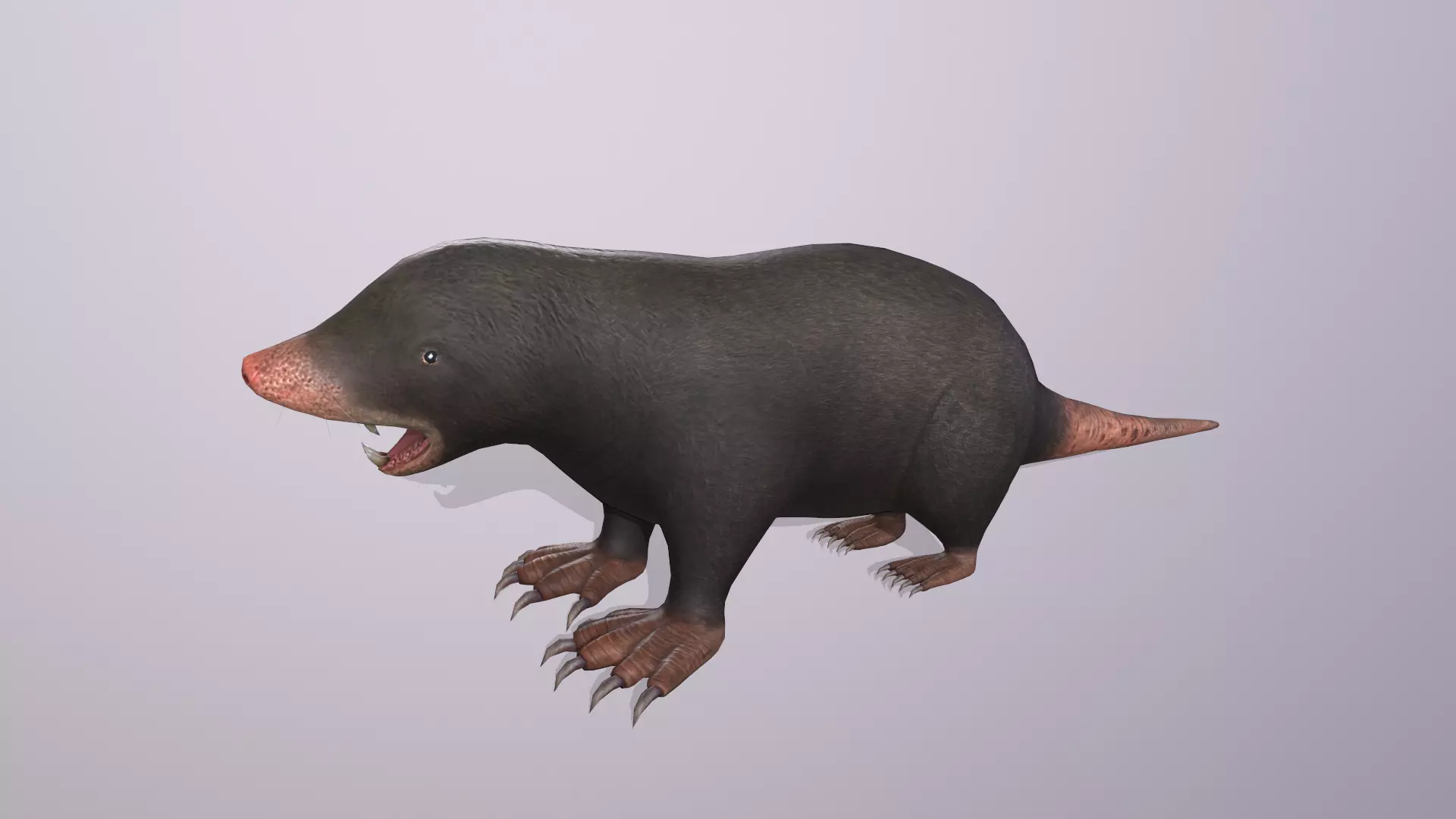 mole mouse Low-poly 3D model
