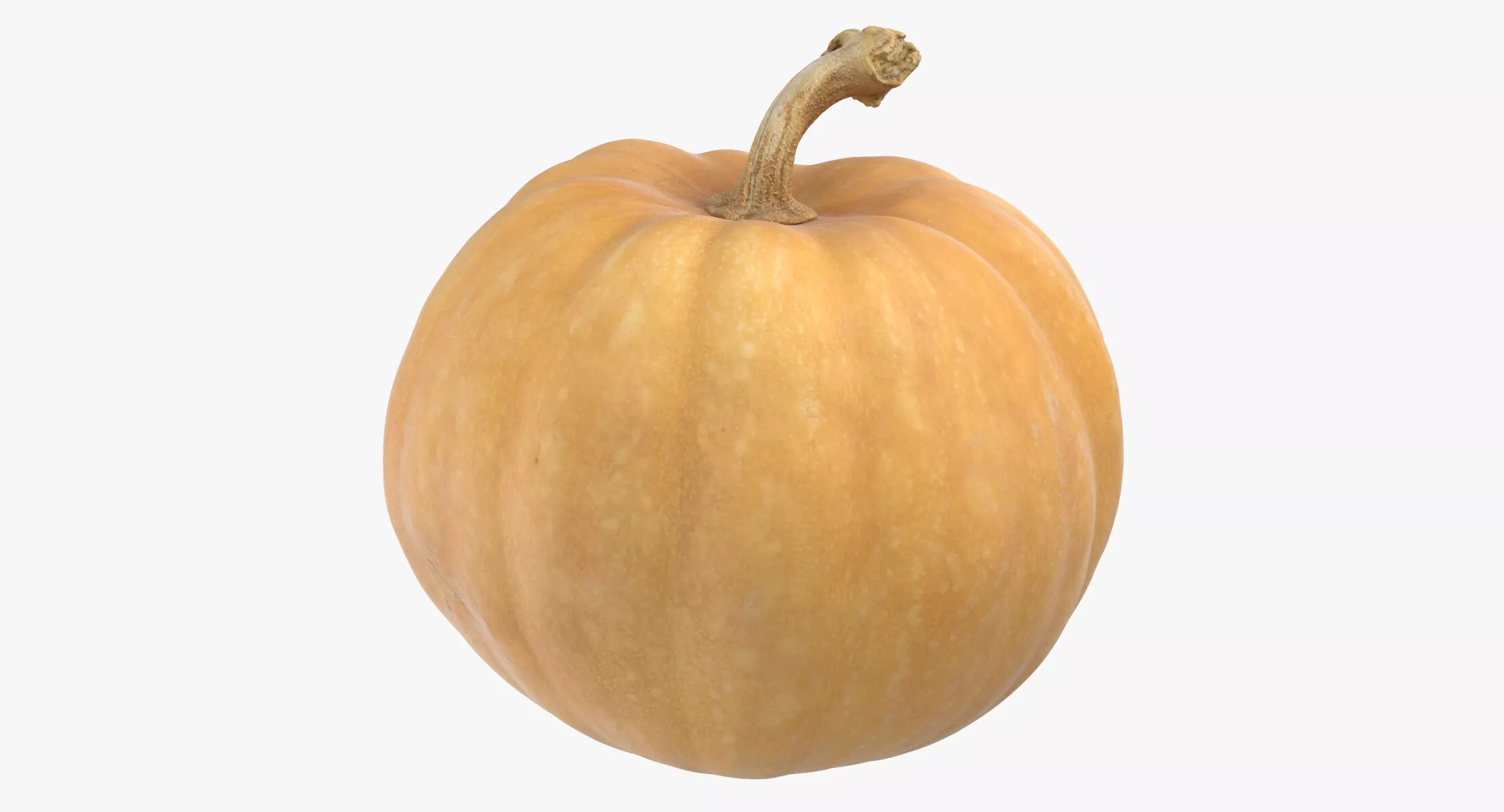 Pumpkin 02 3D model