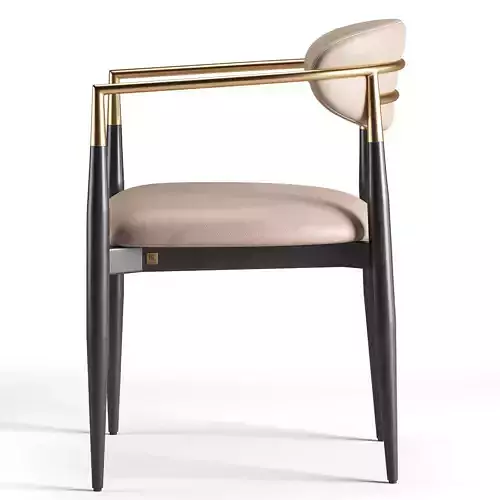 Amy Dining Chair 3D model 4