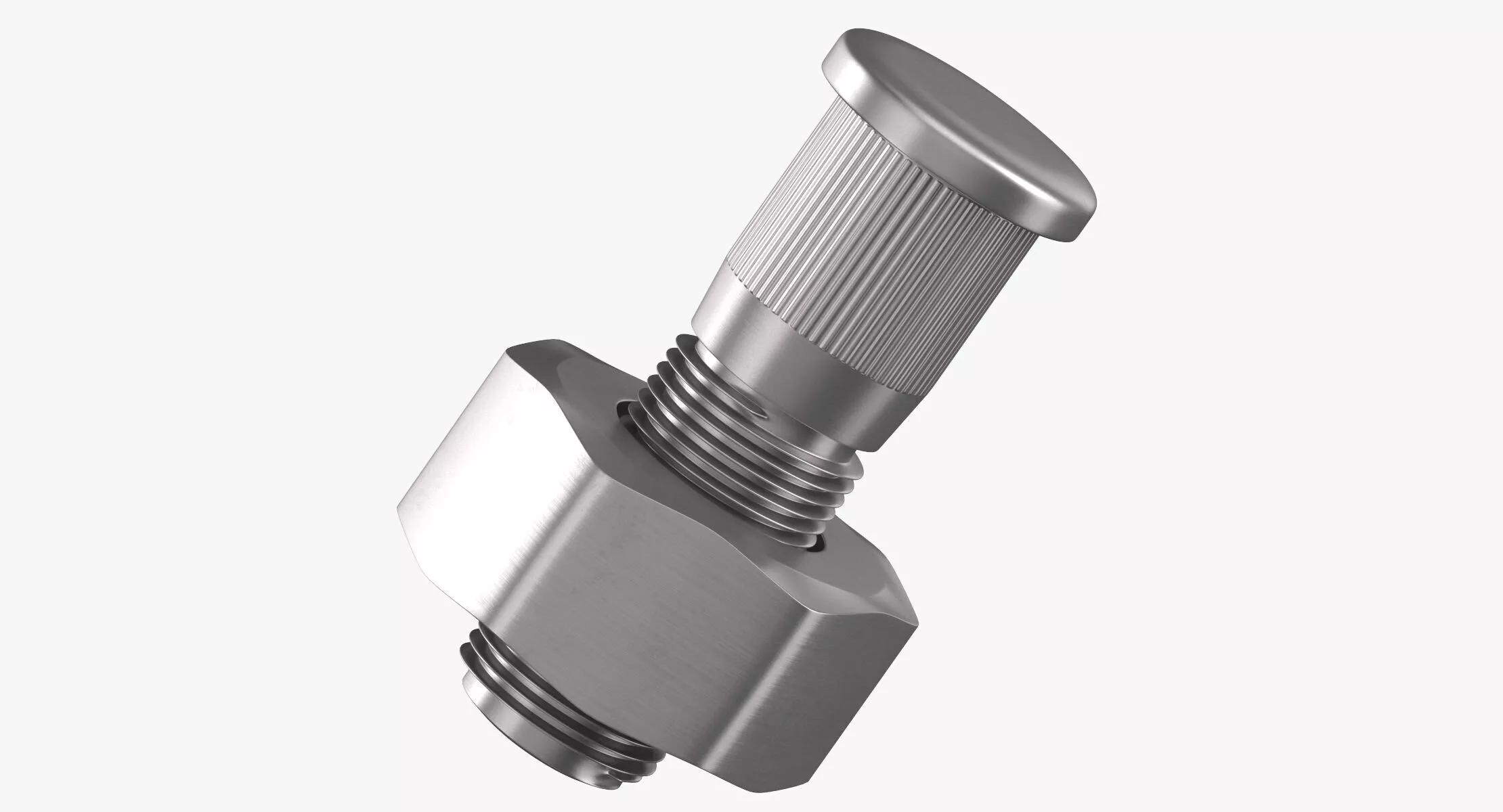 Dome Head Screw and Nut 3D model