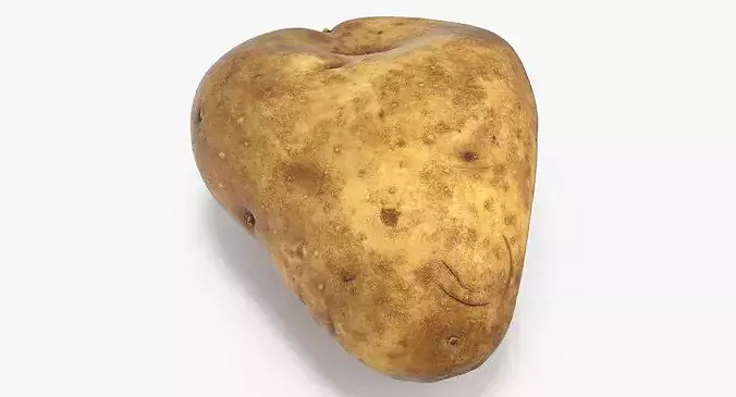 Potato 02 3D model 7