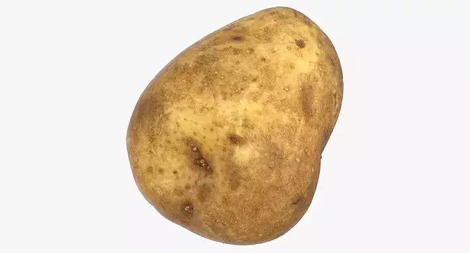 Potato 02 3D model