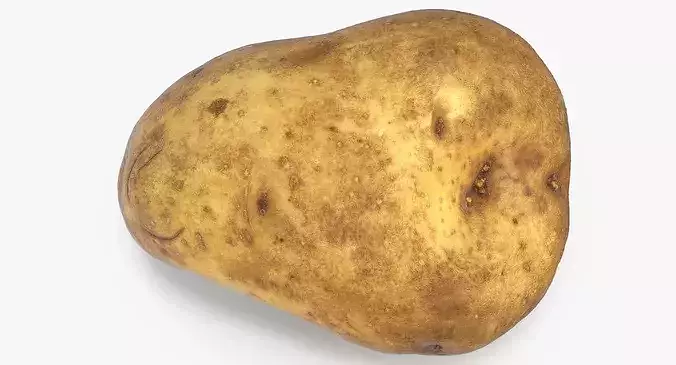 Potato 02 3D model 3