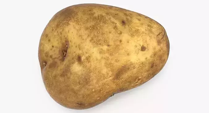 Potato 02 3D model 5