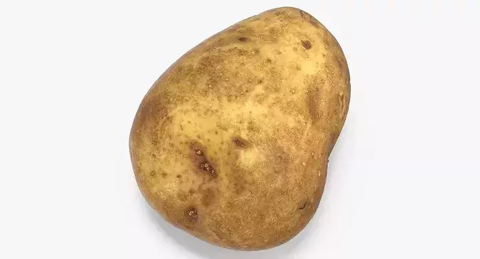 Potato 02 3D model 2