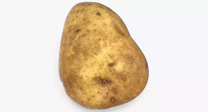 Potato 02 3D model 4