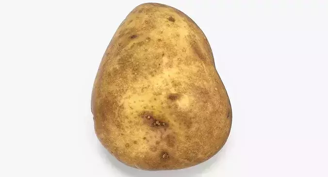 Potato 02 3D model 6