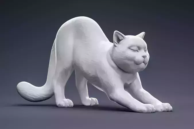Cute Stretching Cat
