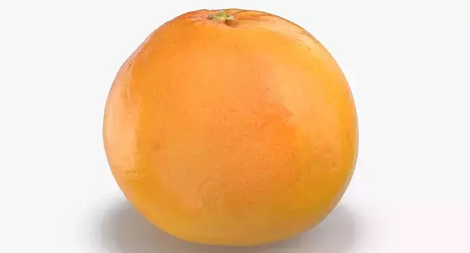 Grapefruit 04 3D model 2