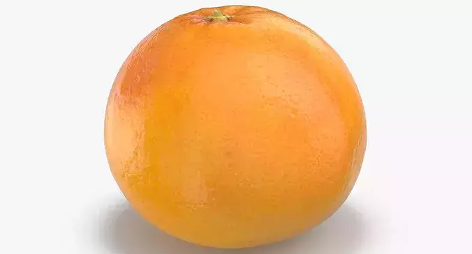 Grapefruit 04 3D model 6