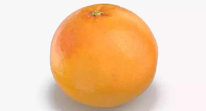 Grapefruit 04 3D model 4