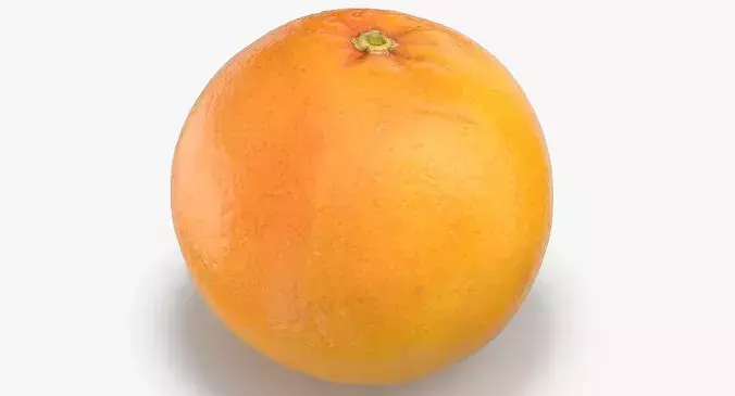 Grapefruit 04 3D model 5
