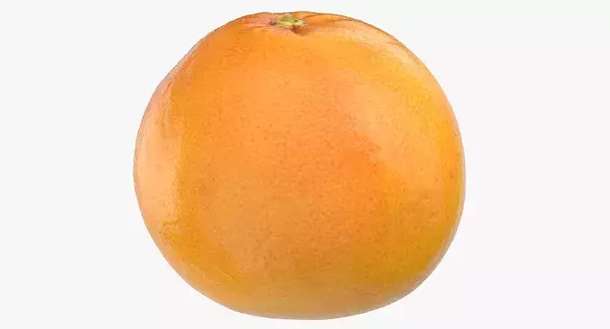 Grapefruit 04 3D model