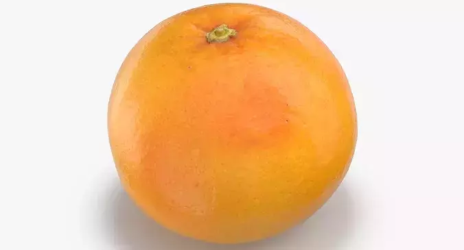 Grapefruit 04 3D model 3