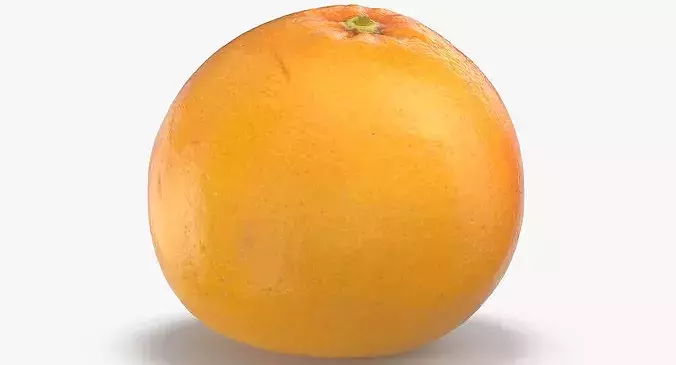 Grapefruit 04 3D model 7