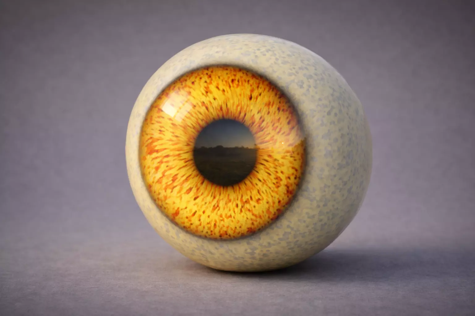 Human eye Procedural 4K Realistic Amber Eye Shader 3D model