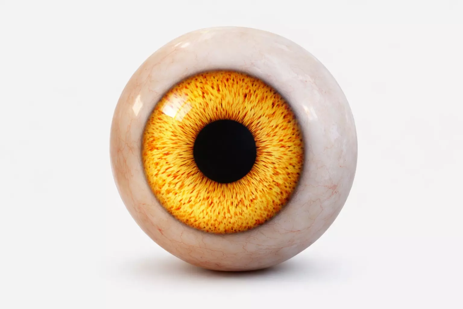 Human eye Procedural 4K Realistic yellow Eye Shader 3D model