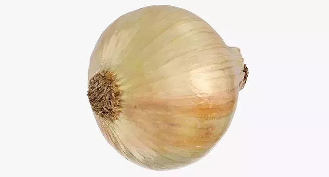 Onion Yellow 02 3D model
