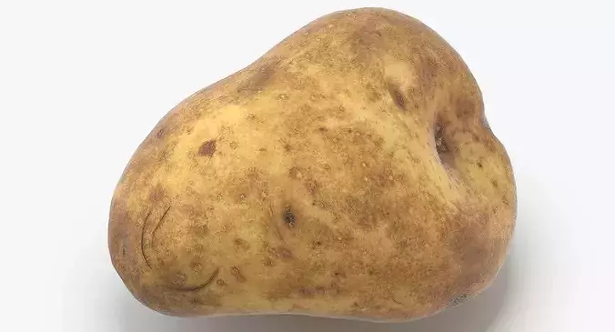 Potato 02 Game Ready 3D model 6