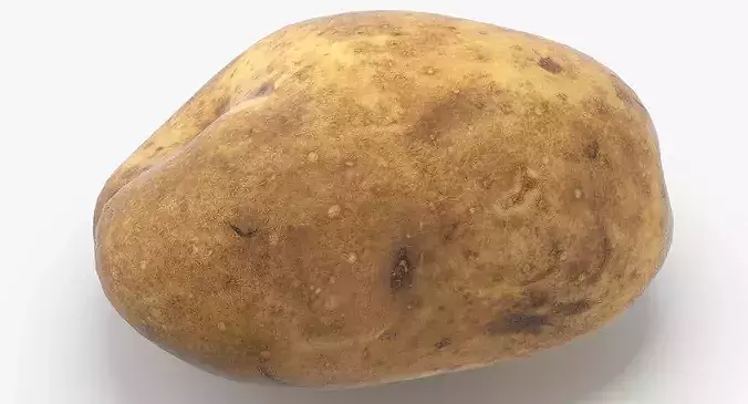 Potato 02 Game Ready 3D model 7