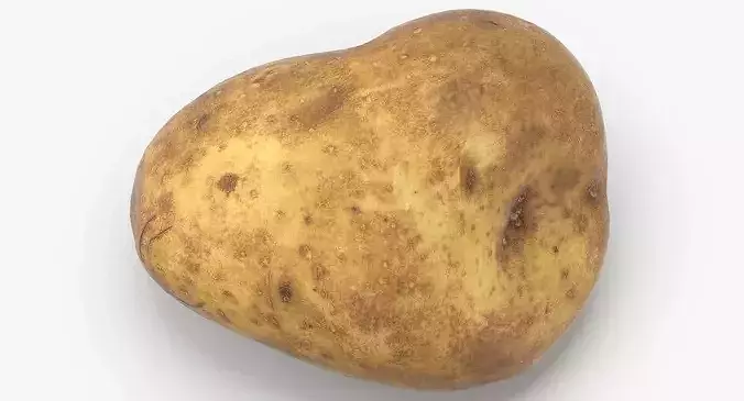 Potato 02 Game Ready 3D model 5