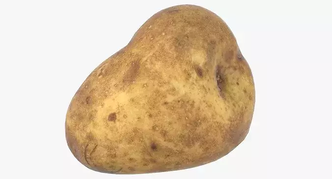 Potato 02 Game Ready 3D model 2