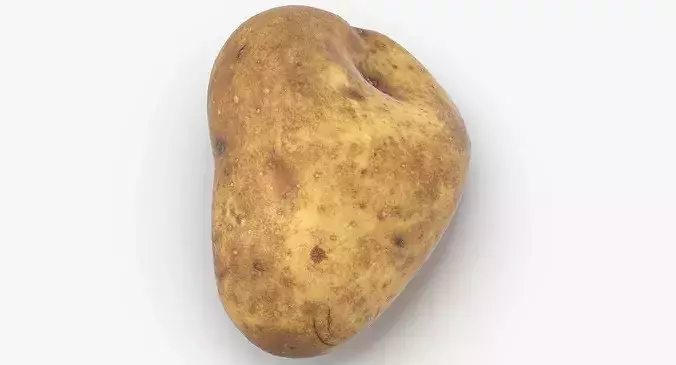 Potato 02 Game Ready 3D model 4