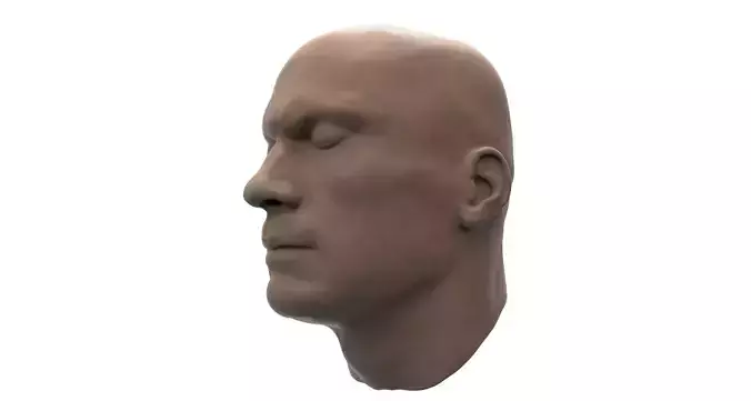 Head Model mannequin