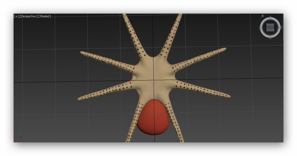 cartoon Octopus  Low-poly 3D model_9