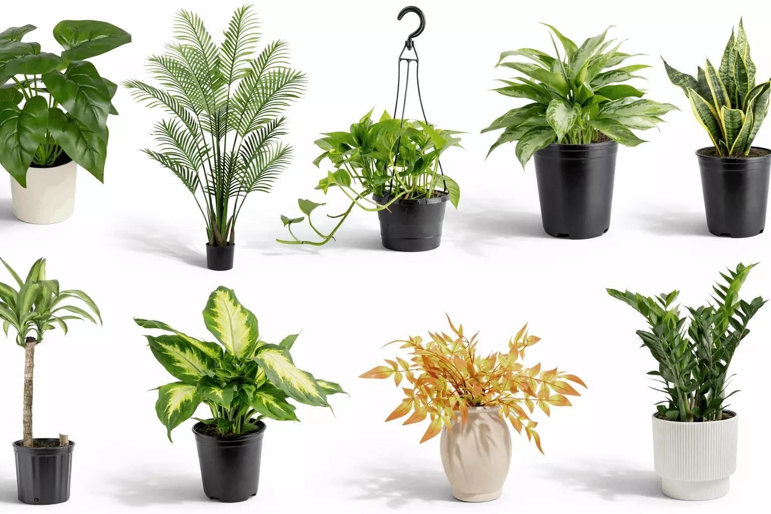 Realistic Indoor Potted Plants Collection 9 Houseplants Pack Low-poly 3D model