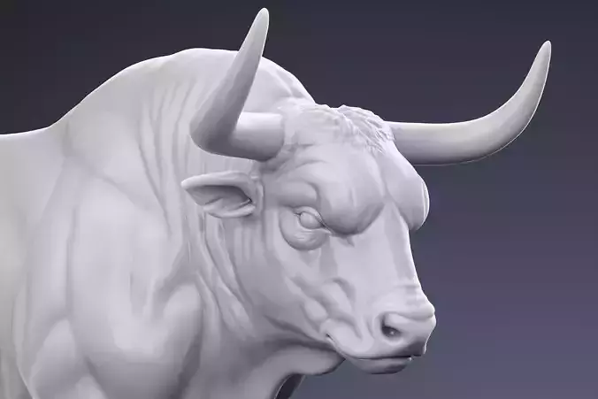 Muscular Bull