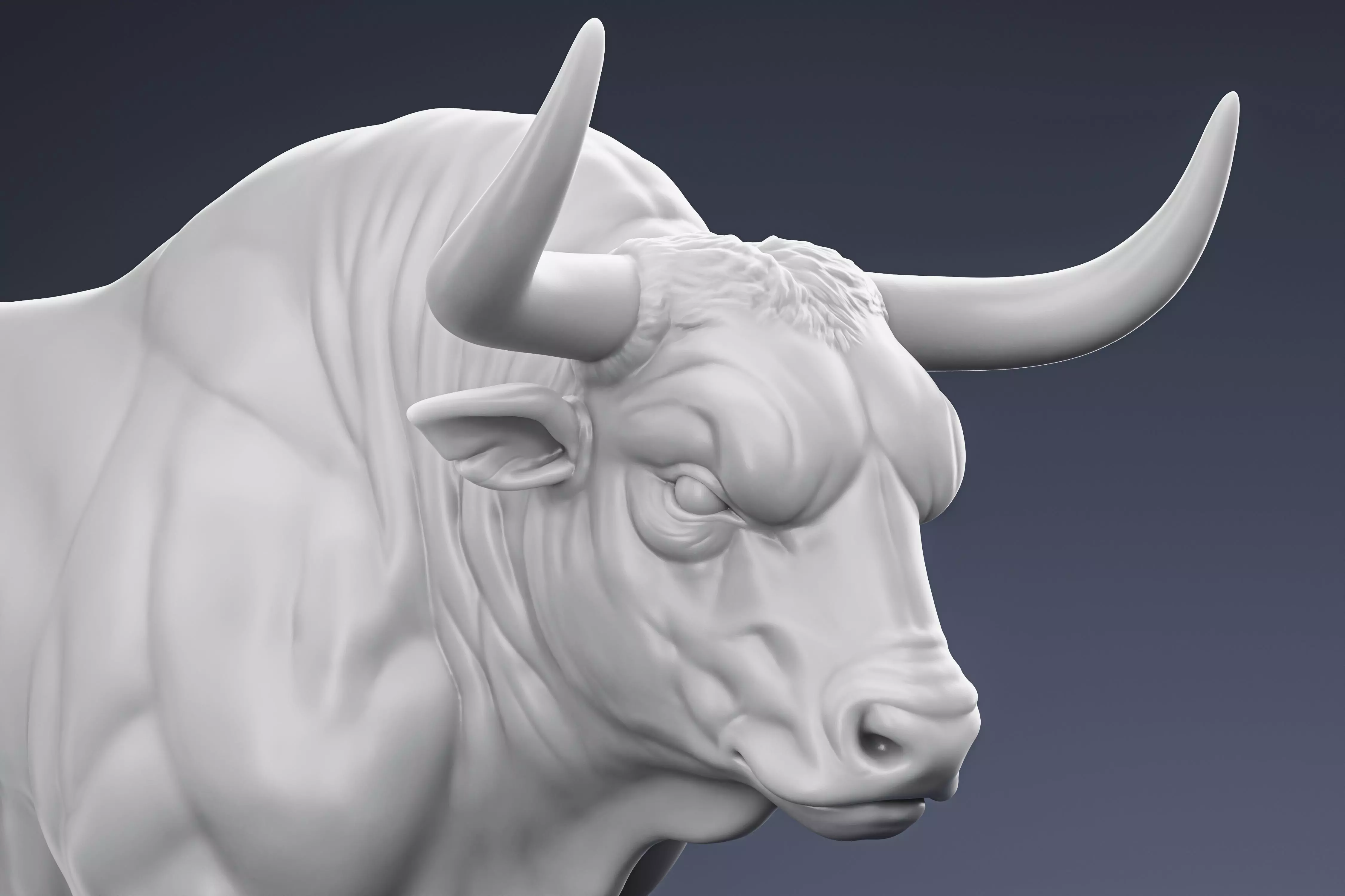 Muscular Bull 3D print model
